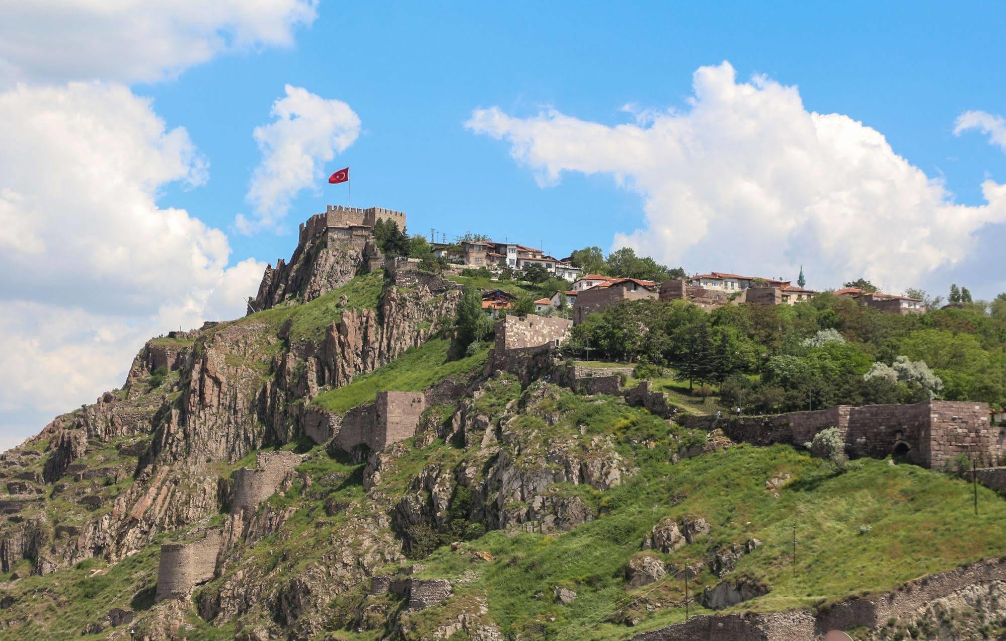 Mithat Ankara